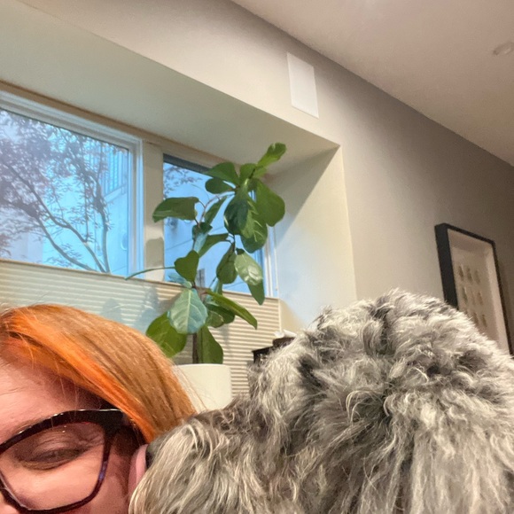 Meet your Posher, Nicky - Picture 3 of 4